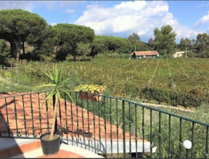 Villa Beb Casale Pompei Rendine à Boscotrecase Extérieur photo